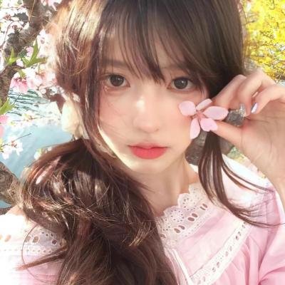 猎狐行动