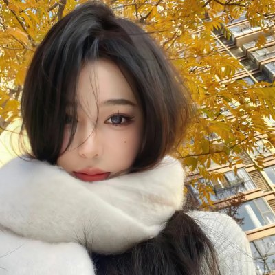 完美计划